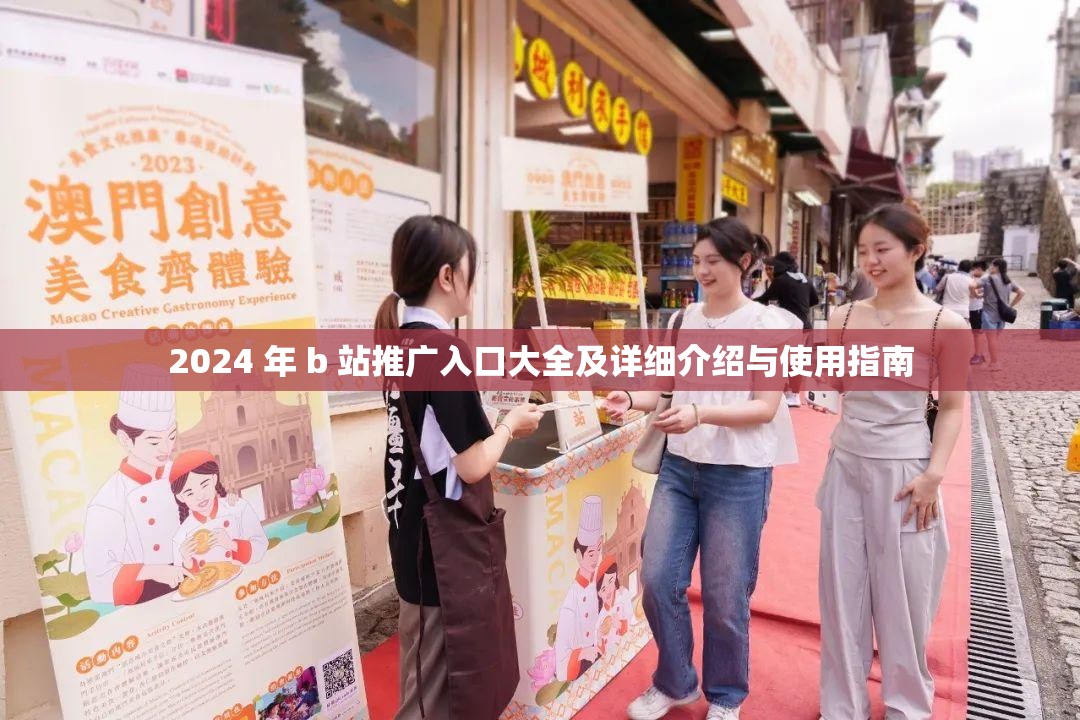 2024 年 b 站推广入口大全及详细介绍与使用指南