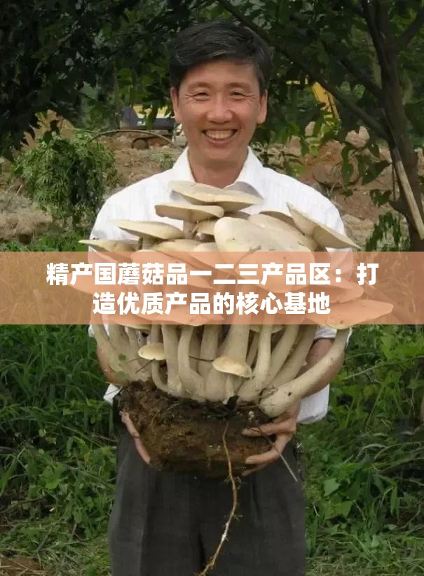 精产国蘑菇品一二三产品区：打造优质产品的核心基地