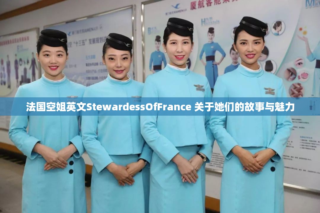 法国空姐英文StewardessOfFrance 关于她们的故事与魅力
