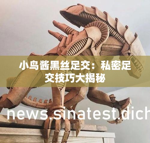 小鸟酱黑丝足交：私密足交技巧大揭秘