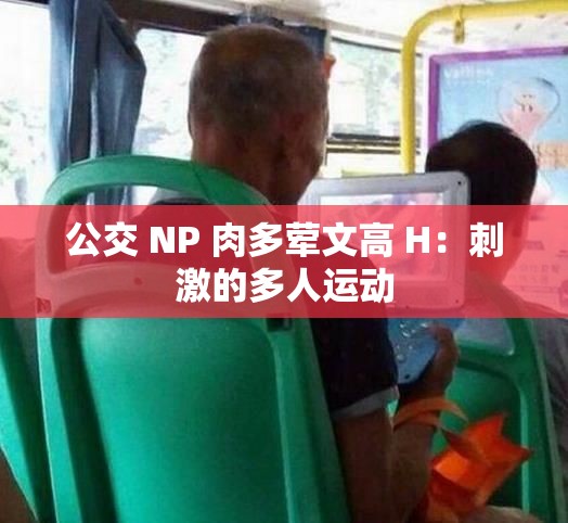 公交 NP 肉多荤文高 H：刺激的多人运动