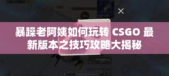 暴躁老阿姨如何玩转 CSGO 最新版本之技巧攻略大揭秘