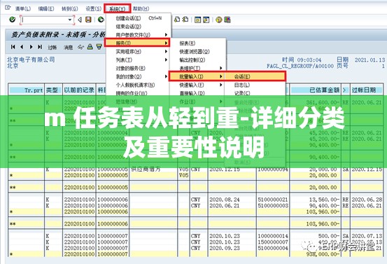 m 任务表从轻到重-详细分类及重要性说明