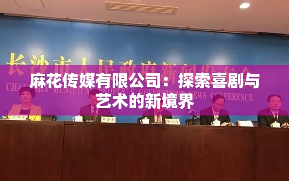 麻花传媒有限公司：探索喜剧与艺术的新境界