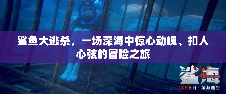 鲨鱼大逃杀，一场深海中惊心动魄、扣人心弦的冒险之旅