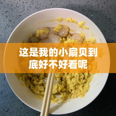 这是我的小扇贝到底好不好看呢