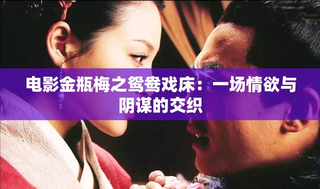 电影金瓶梅之鸳鸯戏床：一场情欲与阴谋的交织