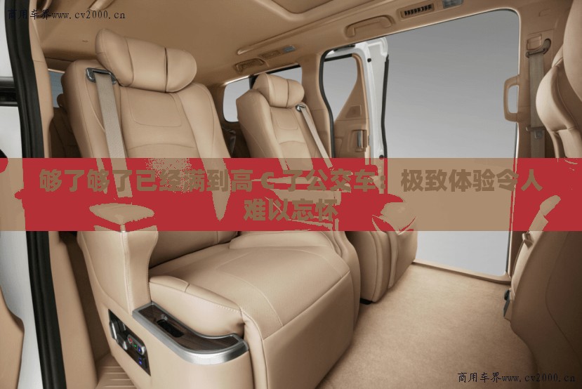 够了够了已经满到高 C 了公交车：极致体验令人难以忘怀
