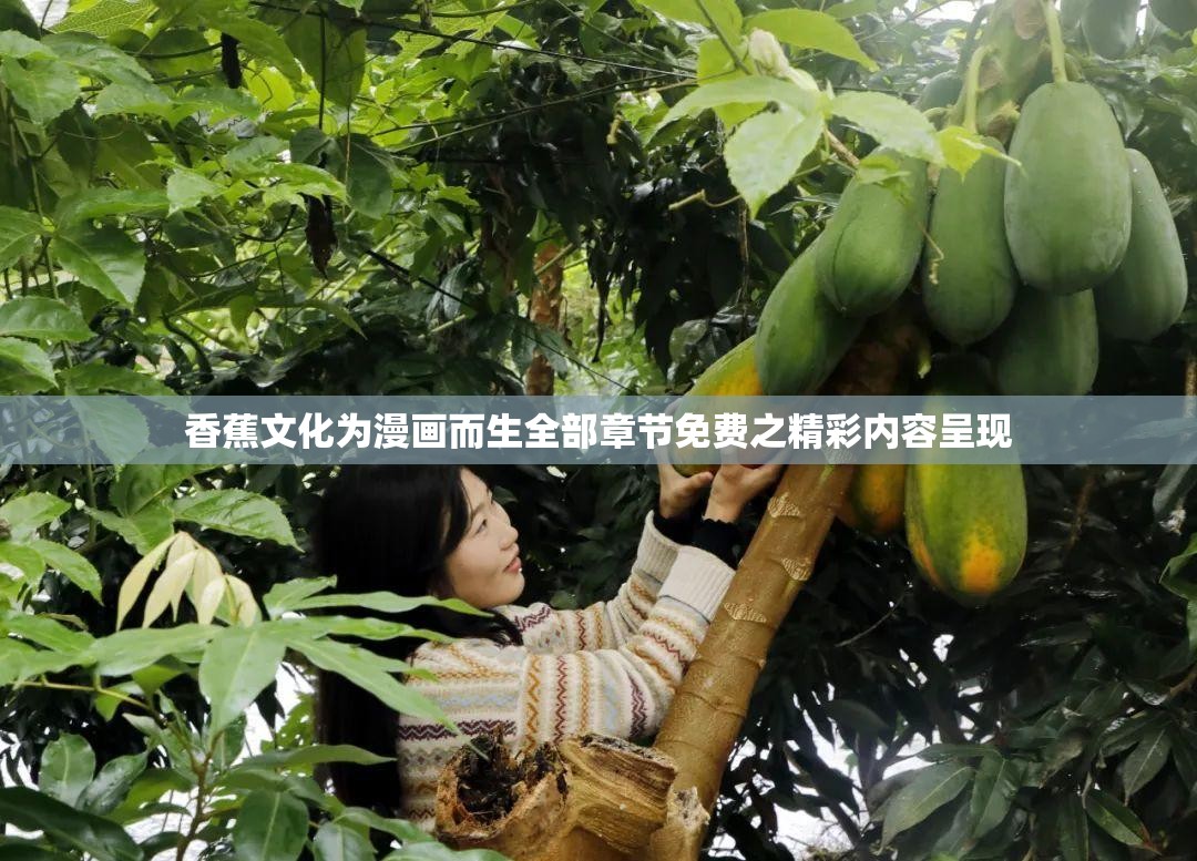 香蕉文化为漫画而生全部章节免费之精彩内容呈现