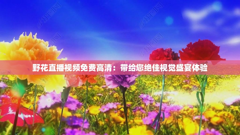 野花直播视频免费高清：带给您绝佳视觉盛宴体验