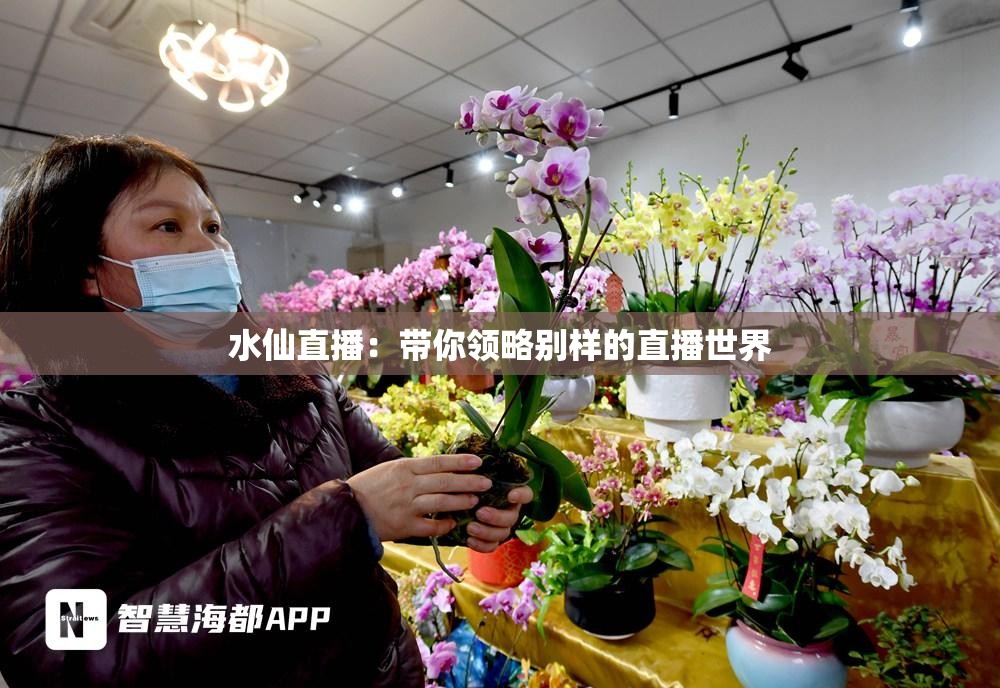 水仙直播：带你领略别样的直播世界