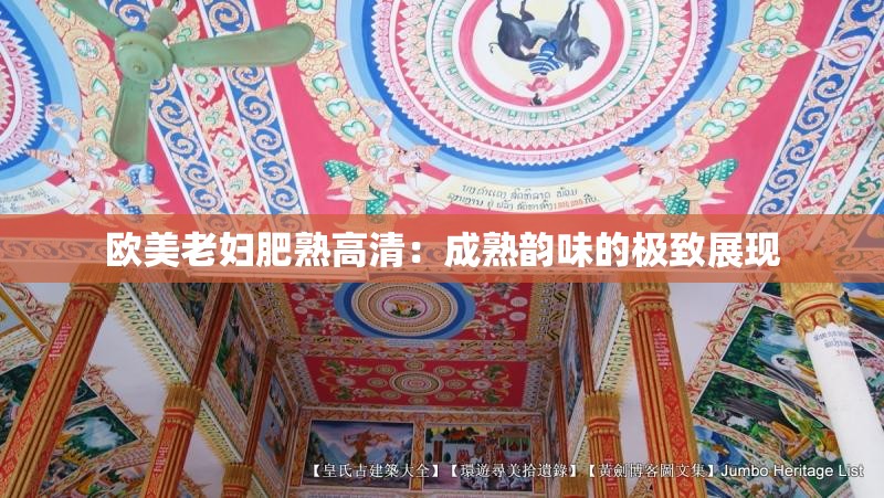 欧美老妇肥熟高清：成熟韵味的极致展现