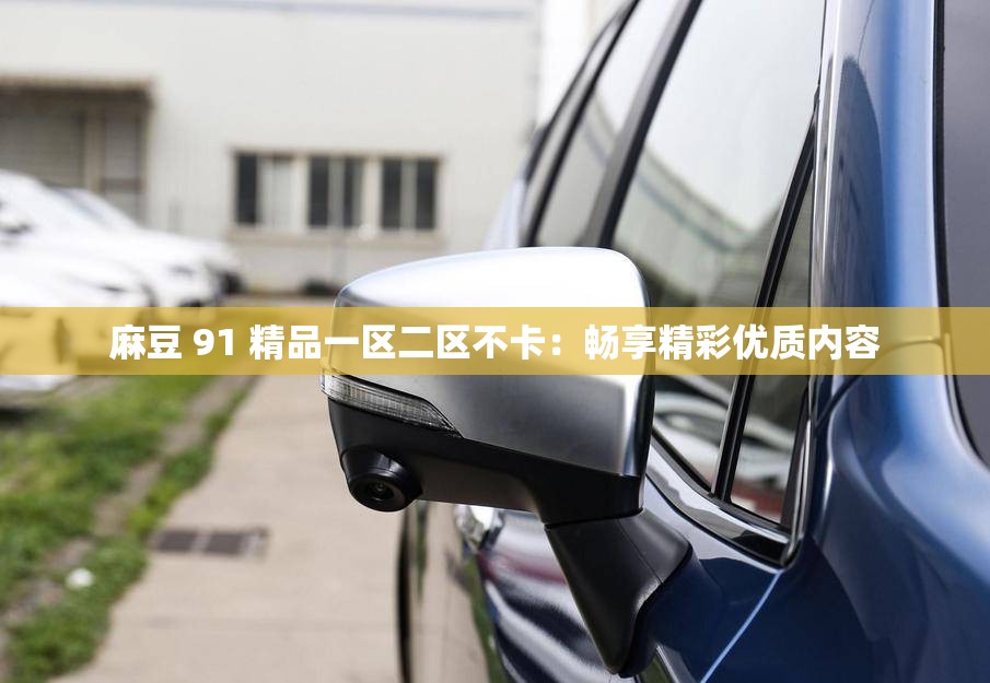 麻豆 91 精品一区二区不卡：畅享精彩优质内容