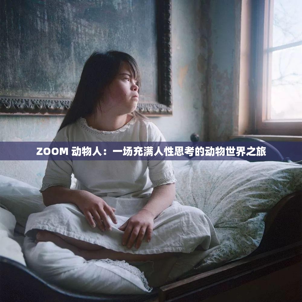 ZOOM 动物人：一场充满人性思考的动物世界之旅