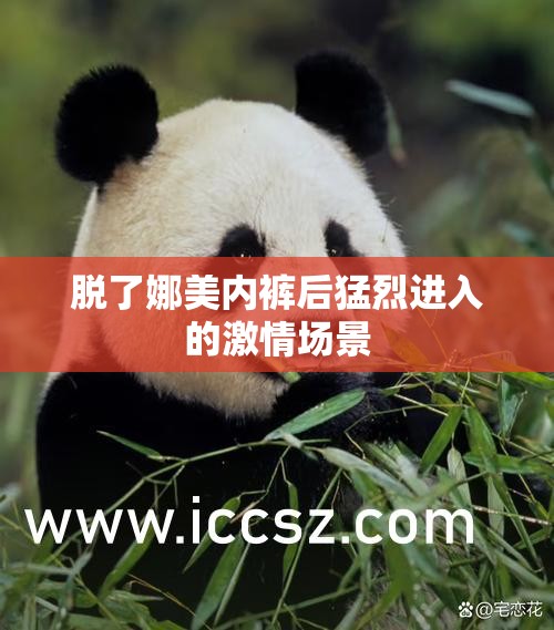 脱了娜美内裤后猛烈进入的激情场景