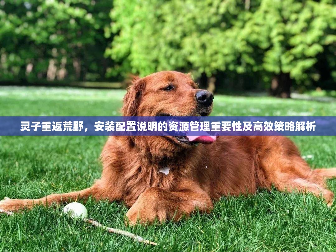 灵子重返荒野，安装配置说明的资源管理重要性及高效策略解析