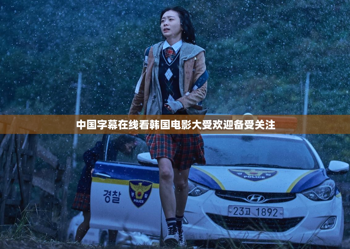 中国字幕在线看韩国电影大受欢迎备受关注