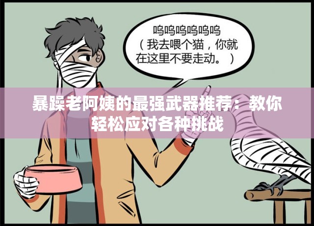 暴躁老阿姨的最强武器推荐：教你轻松应对各种挑战