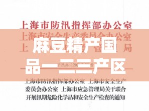 麻豆精产国品一二三产区别：深入探讨其不同特点与重要性