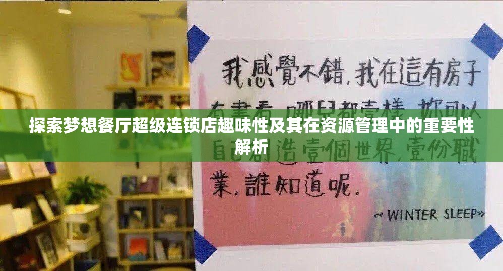 探索梦想餐厅超级连锁店趣味性及其在资源管理中的重要性解析