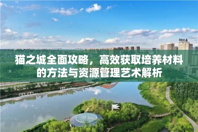 猫之城全面攻略，高效获取培养材料的方法与资源管理艺术解析