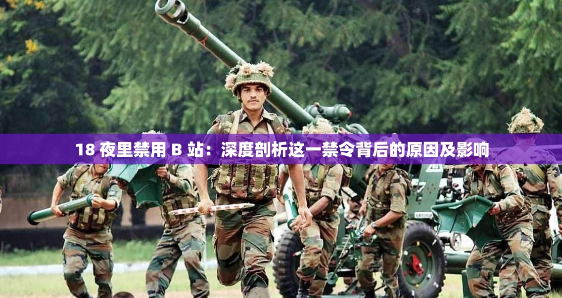 18 夜里禁用 B 站：深度剖析这一禁令背后的原因及影响