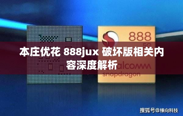 本庄优花 888jux 破坏版相关内容深度解析