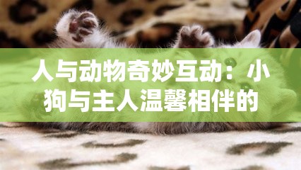 人与动物奇妙互动：小狗与主人温馨相伴的欢乐时光