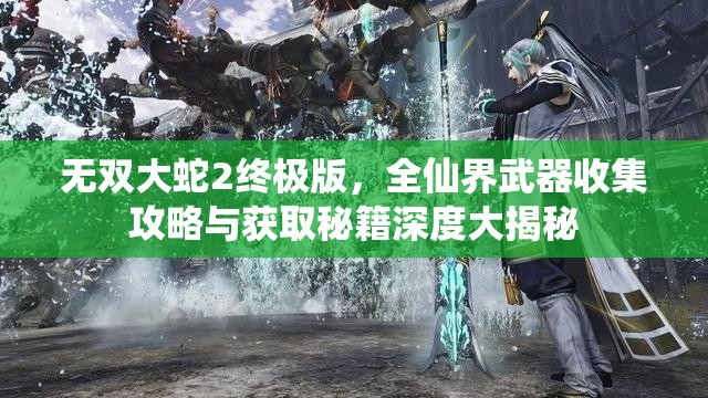 无双大蛇2终极版，全仙界武器收集攻略与获取秘籍深度大揭秘