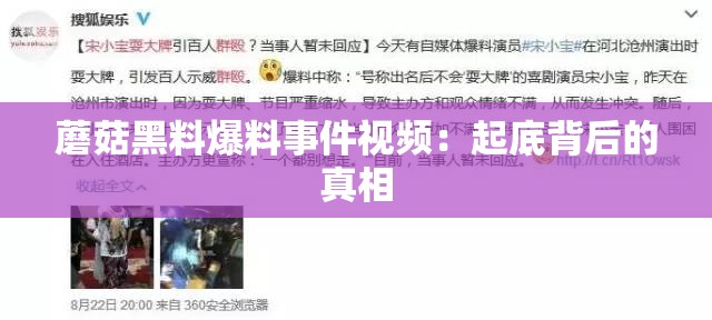 蘑菇黑料爆料事件视频：起底背后的真相