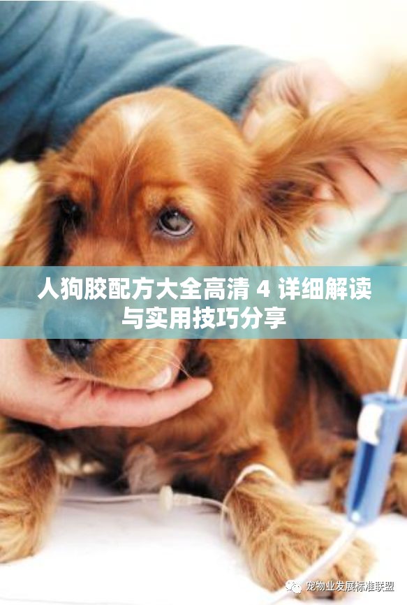 人狗胶配方大全高清 4 详细解读与实用技巧分享