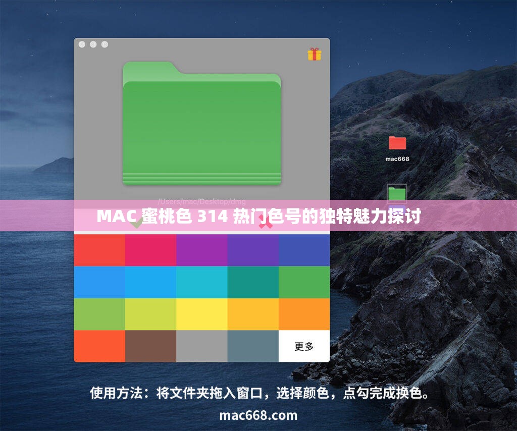 MAC 蜜桃色 314 热门色号的独特魅力探讨