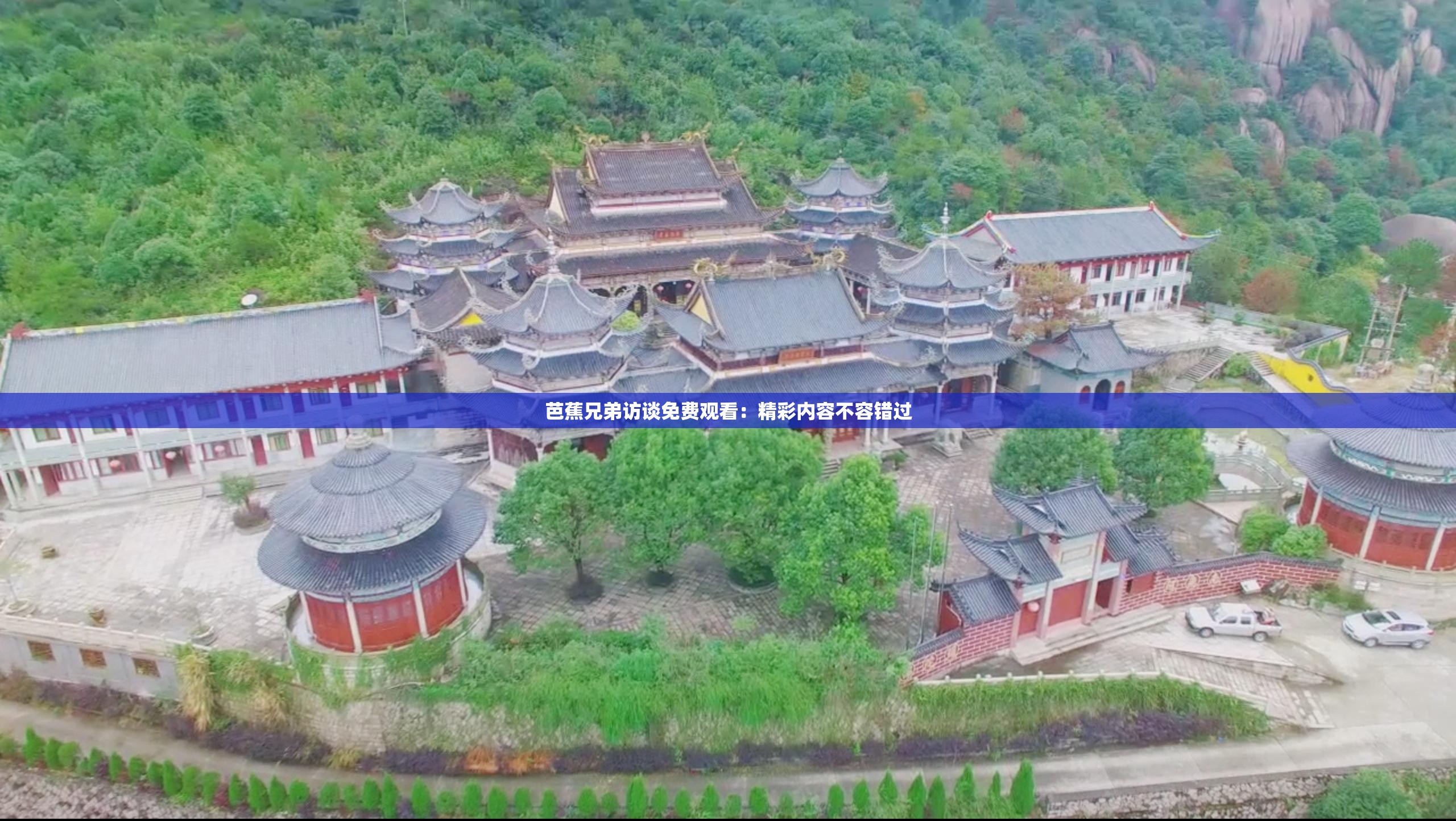 芭蕉兄弟访谈免费观看：精彩内容不容错过
