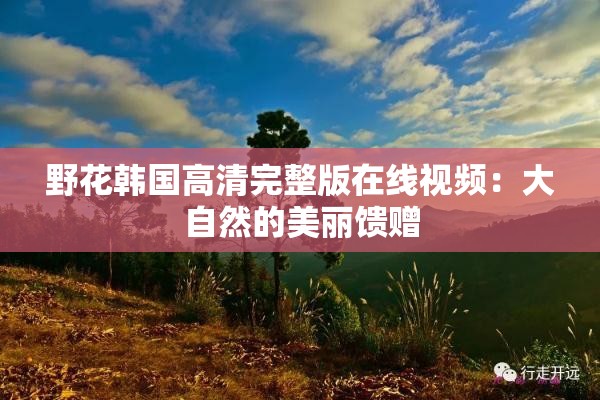 野花韩国高清完整版在线视频：大自然的美丽馈赠