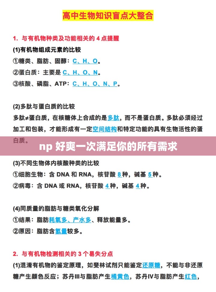 np 好爽一次满足你的所有需求