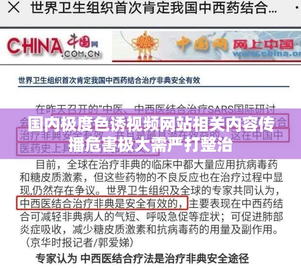 国内极度色诱视频网站相关内容传播危害极大需严打整治