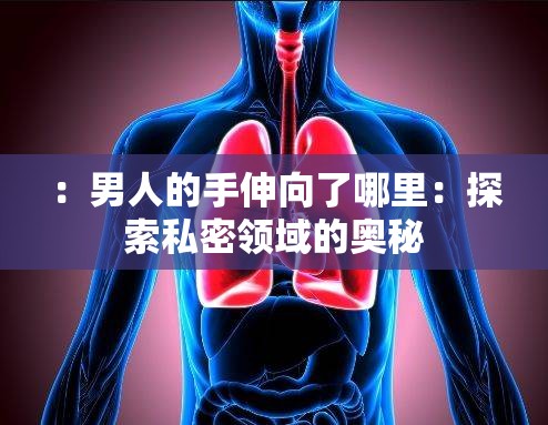 ：男人的手伸向了哪里：探索私密领域的奥秘
