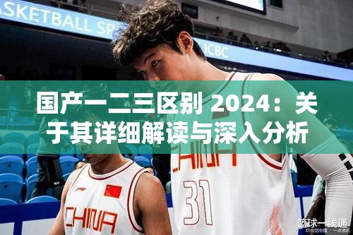 国产一二三区别 2024：关于其详细解读与深入分析