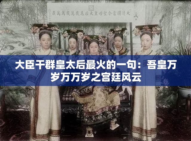 大臣干群皇太后最火的一句：吾皇万岁万万岁之宫廷风云