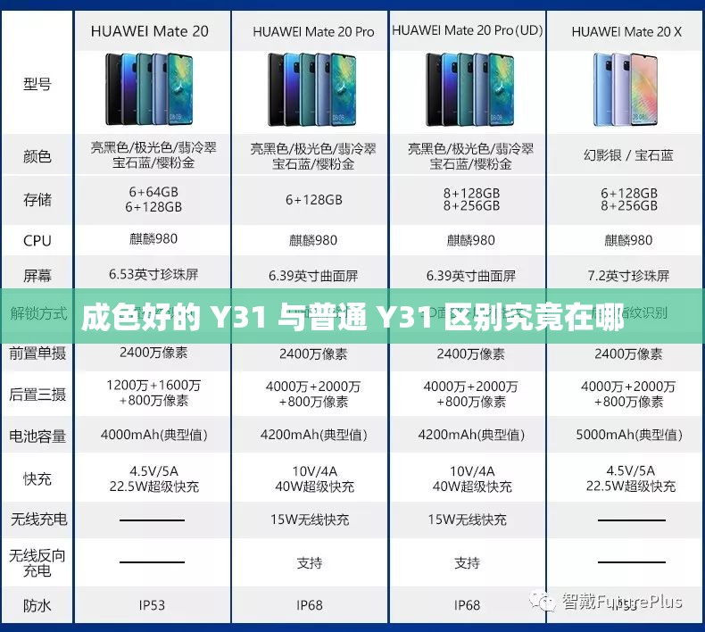 成色好的 Y31 与普通 Y31 区别究竟在哪