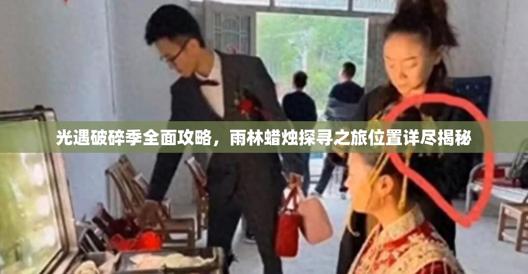光遇破碎季全面攻略，雨林蜡烛探寻之旅位置详尽揭秘