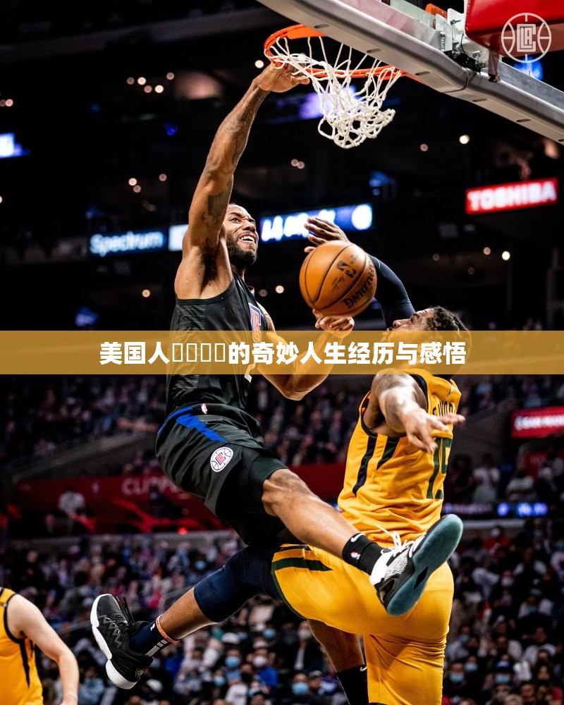 美国人乄乄乄乄的奇妙人生经历与感悟
