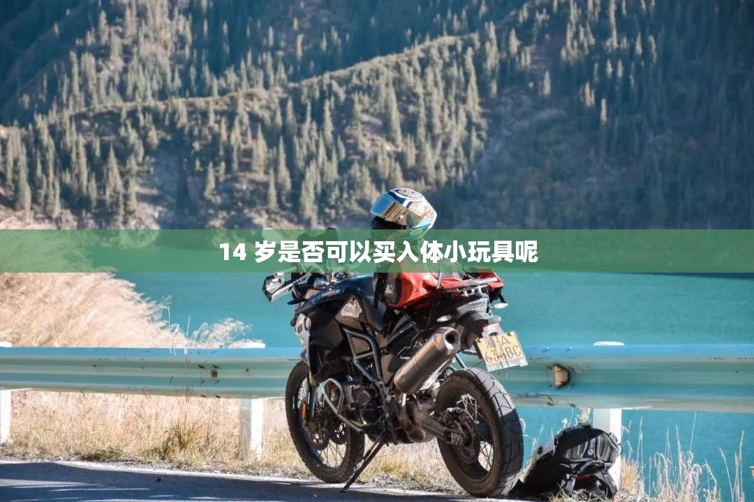14 岁是否可以买入体小玩具呢