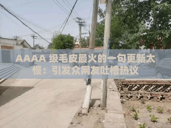 AAAA 级毛皮最火的一句更新太慢：引发众网友吐槽热议