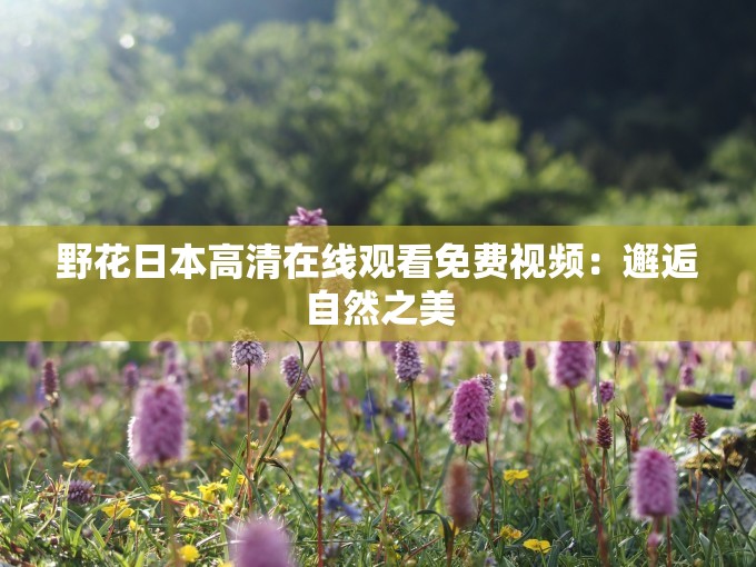 野花日本高清在线观看免费视频：邂逅自然之美