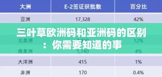 三叶草欧洲码和亚洲码的区别：你需要知道的事