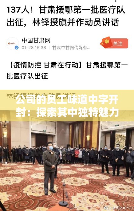 公司的员工味道中字开封：探索其中独特魅力与价值内涵