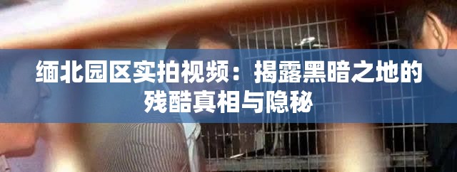 缅北园区实拍视频：揭露黑暗之地的残酷真相与隐秘