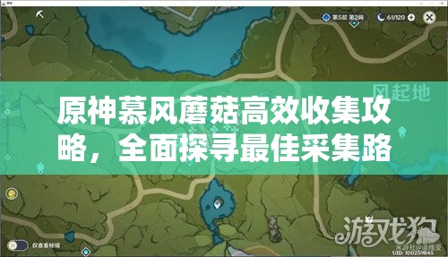 原神慕风蘑菇高效收集攻略，全面探寻最佳采集路线与技巧