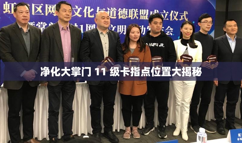 净化大掌门 11 级卡指点位置大揭秘